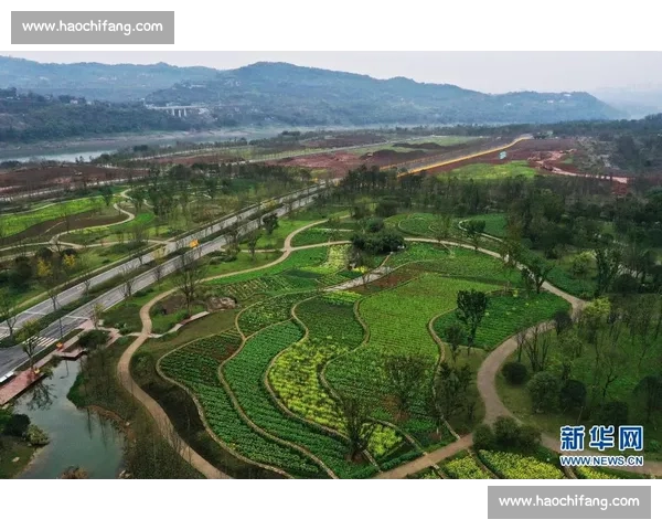 首场告捷点燃征程信心开启新赛季胜利篇章与奋进号角全面起航新篇